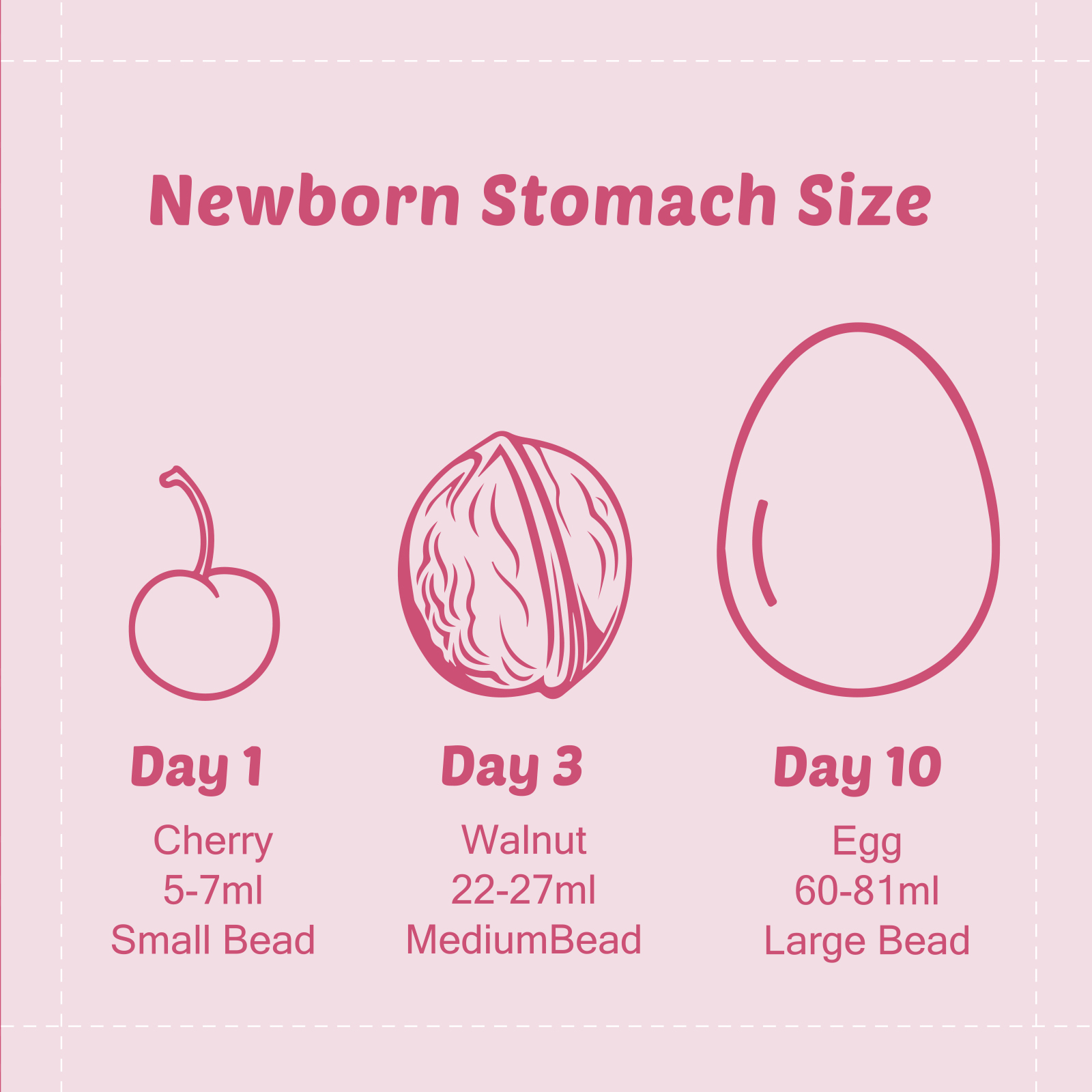 Breastfeeding Baby Belly Beads Stomach Shape Necklace, Visual Teaching Tool for Lactation Consultants