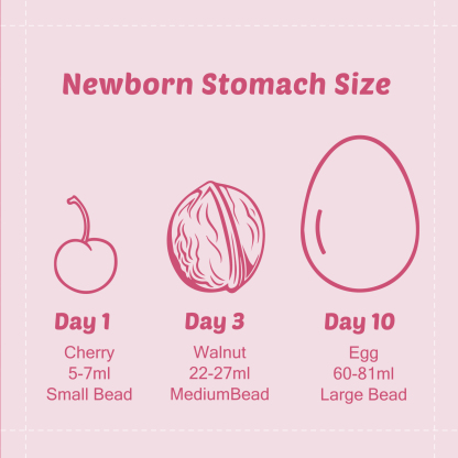 Breastfeeding Baby Belly Beads Stomach Shape Necklace, Visual Teaching Tool for Lactation Consultants