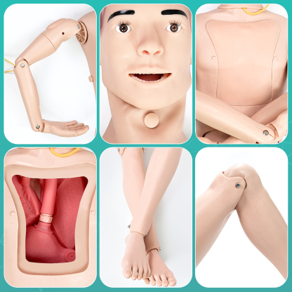 Detailed View of Skillssist Medical Training Mannequin