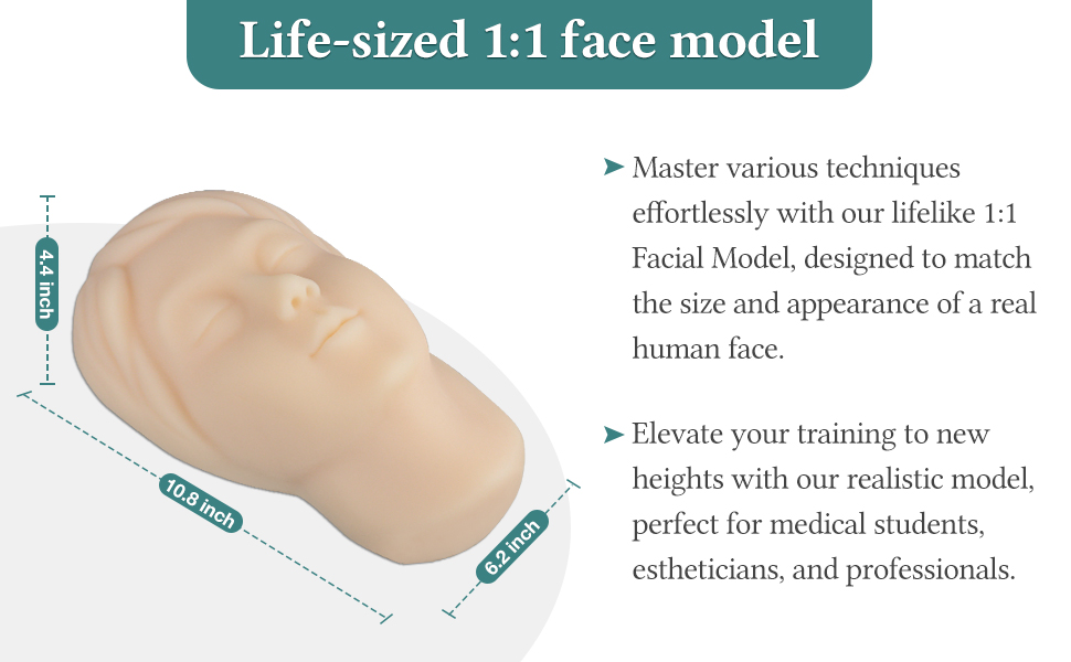 Life-Sized 1:1 Face Model for Aesthetic Injection Training