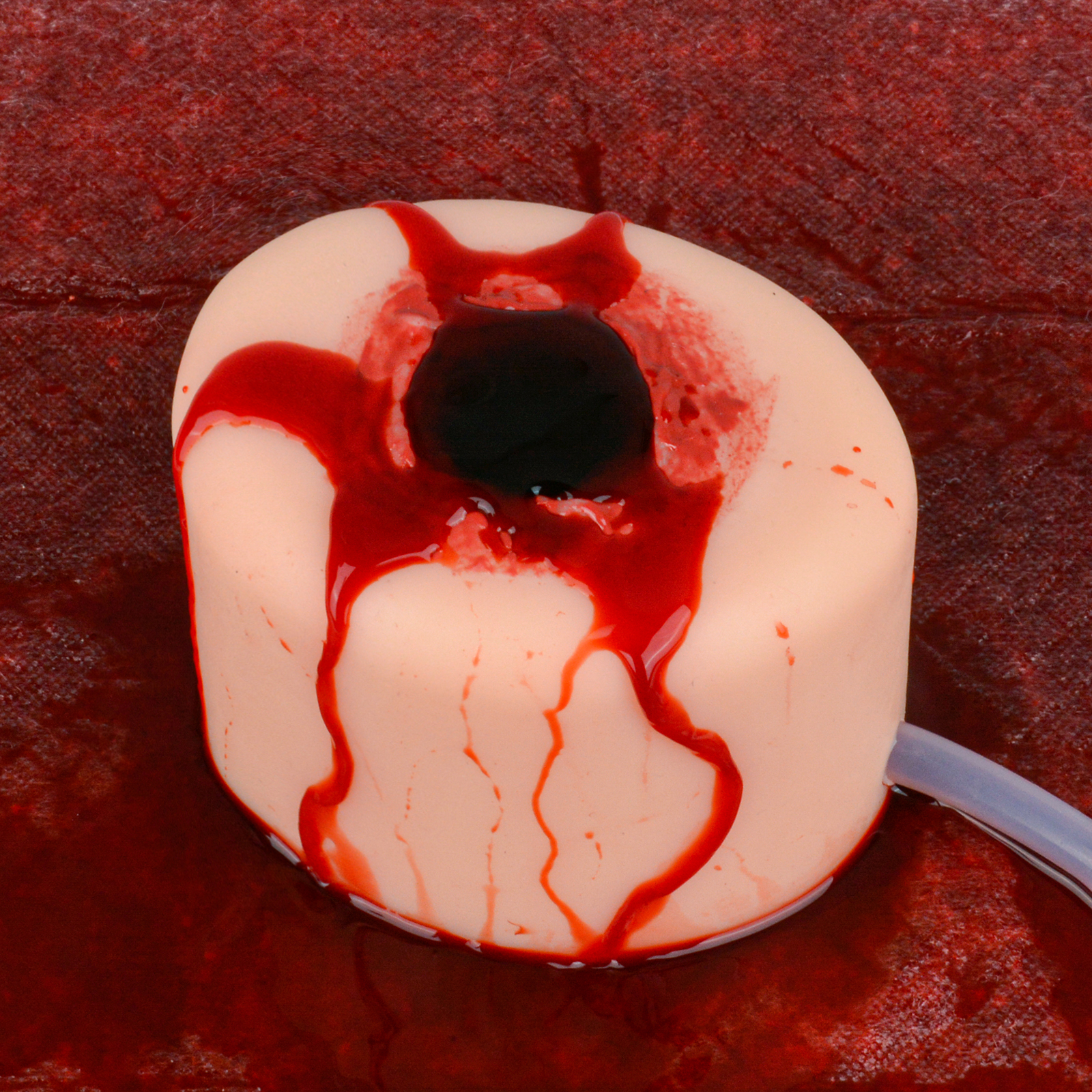 Wound Packing Trainer Kit