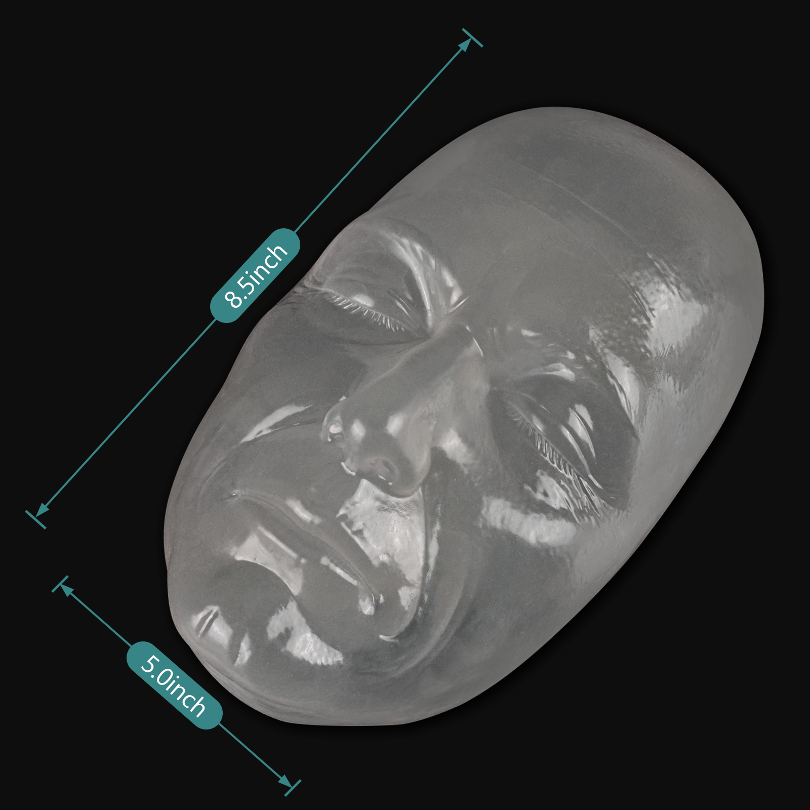 Transparent Injection Practice Face Model