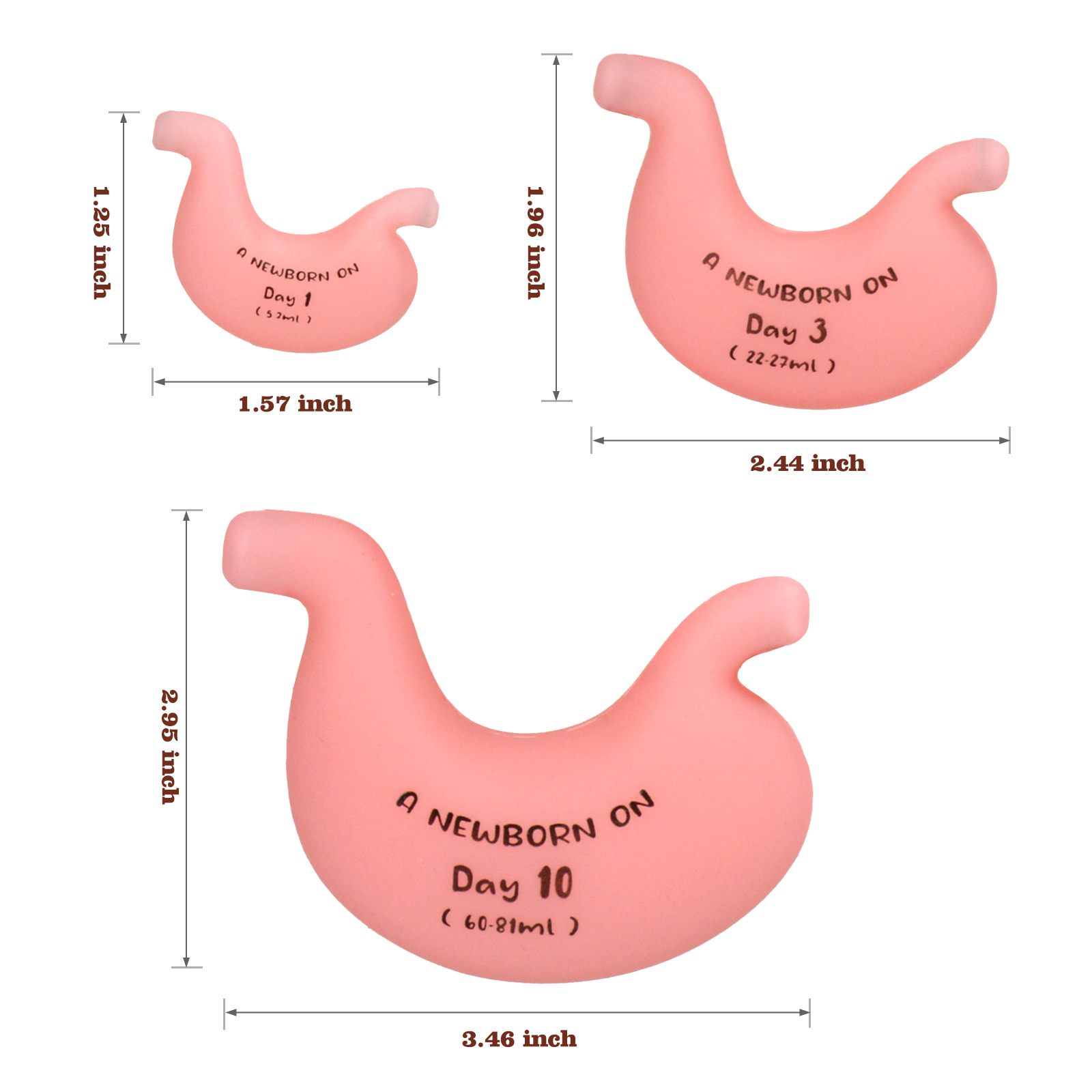 Breastfeeding Baby Belly Beads Stomach Shape Necklace, Visual Teaching Tool for Lactation Consultants