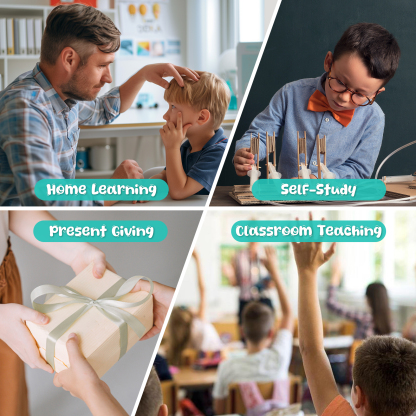 Cross-Section Brain Model, Human Brain Anatomy Model for Kids, 2 Pieces Foam Brain