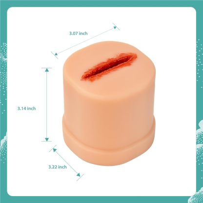 The Size Info of Laceration Wound Packing Trainer
