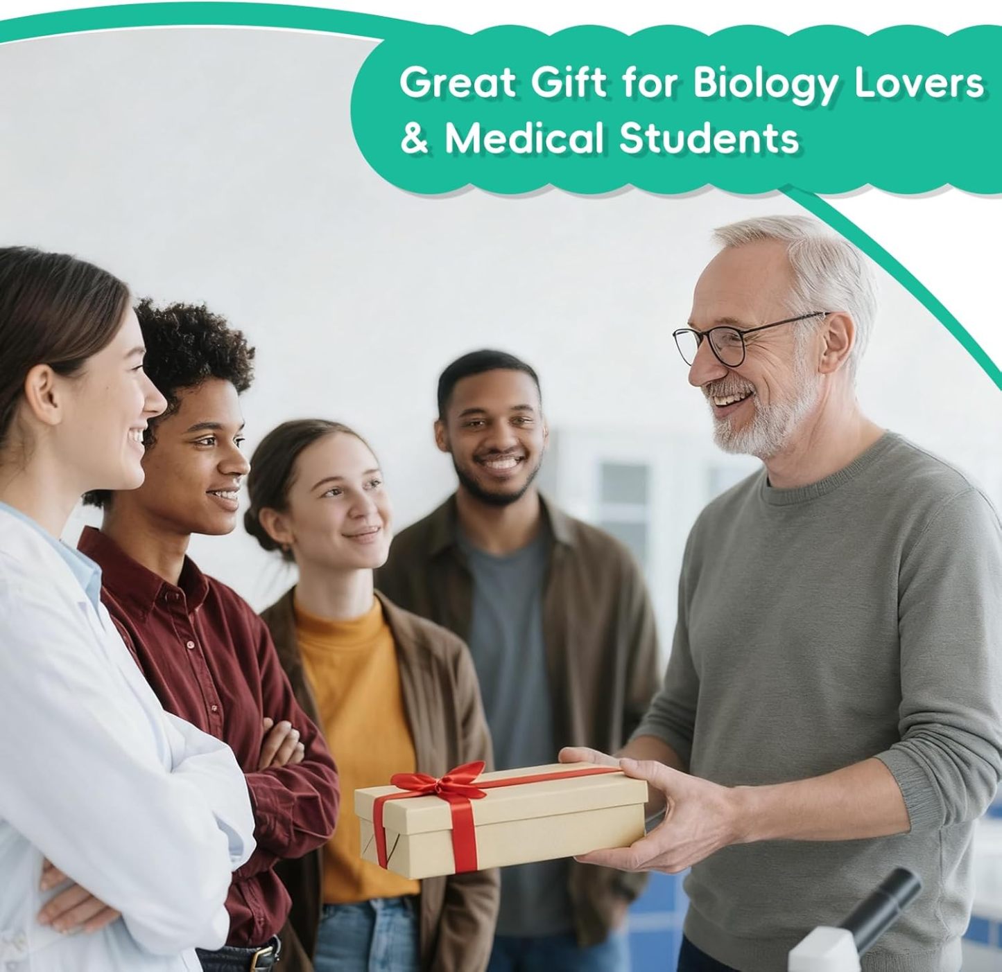 Unique Handcrafted Anatomy Frog Gift Idea