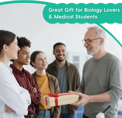 Unique Handcrafted Anatomy Frog Gift Idea