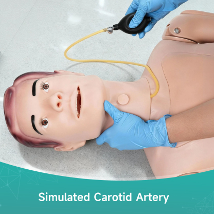 Nursing Mannequin With Replaceable Head For Patient Care Simulation