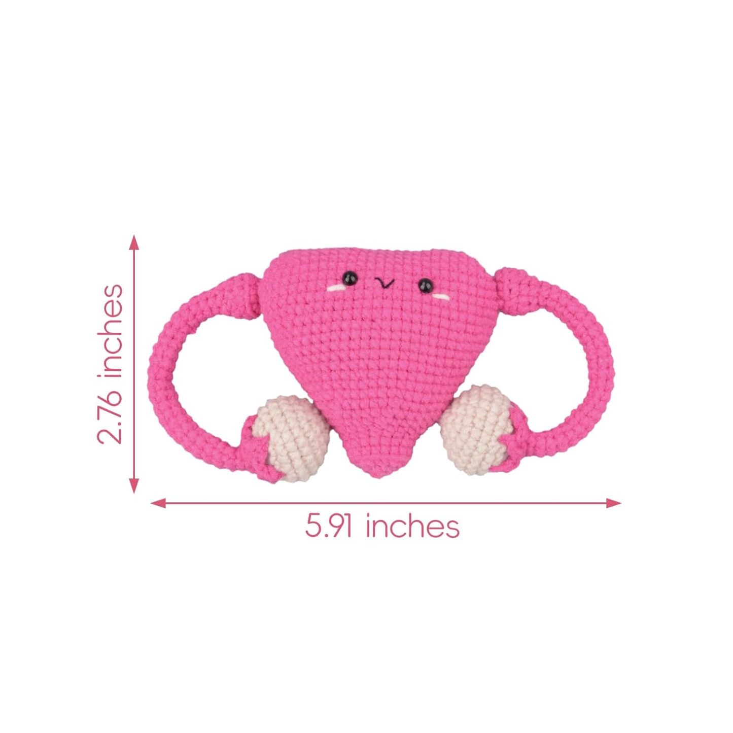 Skillssist Crochet Uterus Model Size And Dimensions