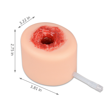 Wound Packing Trainer Kit