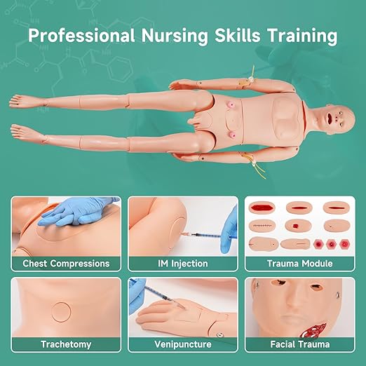 Professional Full Body Medical Mannequin for Training Tool