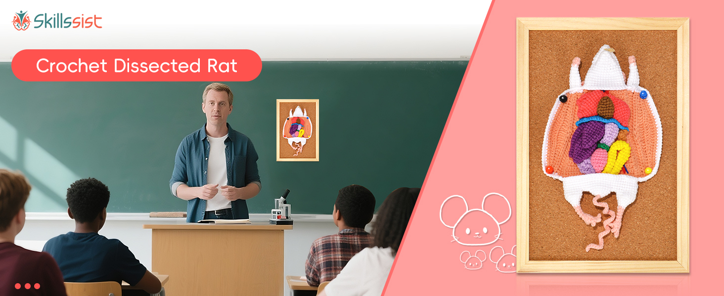 Skillssist Crochet Anatomical Rat Model for Kids Medical Education