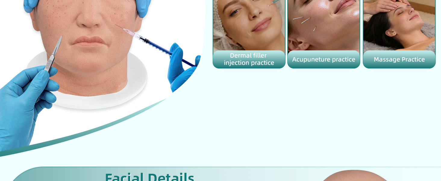Medical Injection Head Model For Dermal Filler, Acupuncture, and Massage Practice