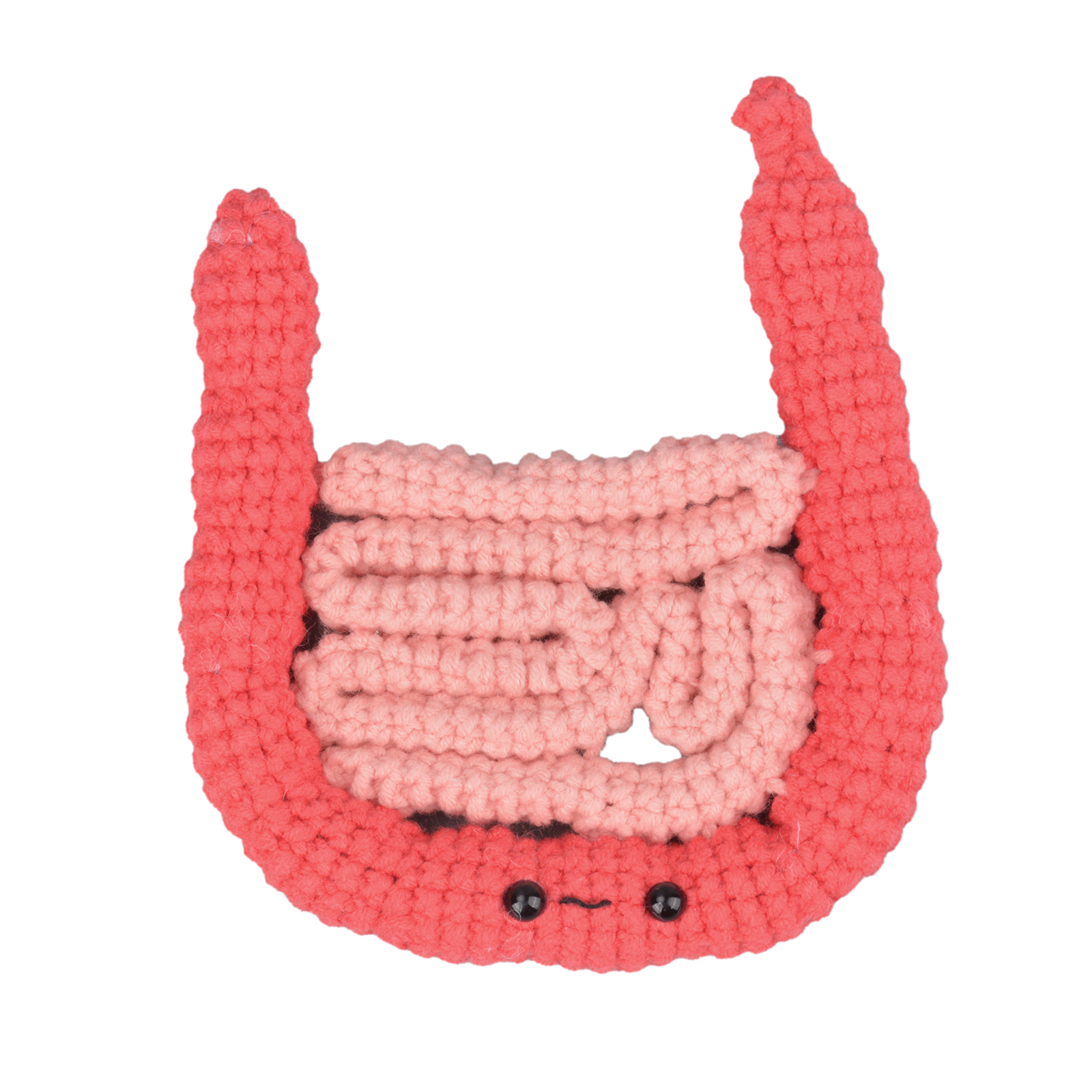 Intestines and Colon Organ Plush