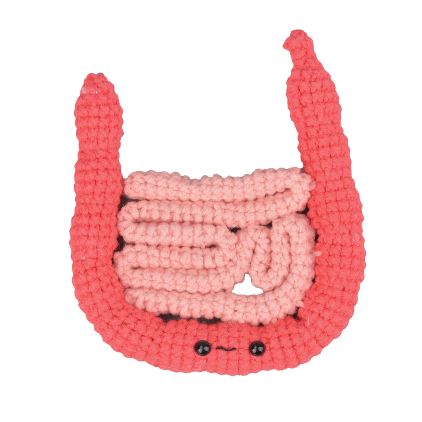 Intestines and Colon Organ Plush