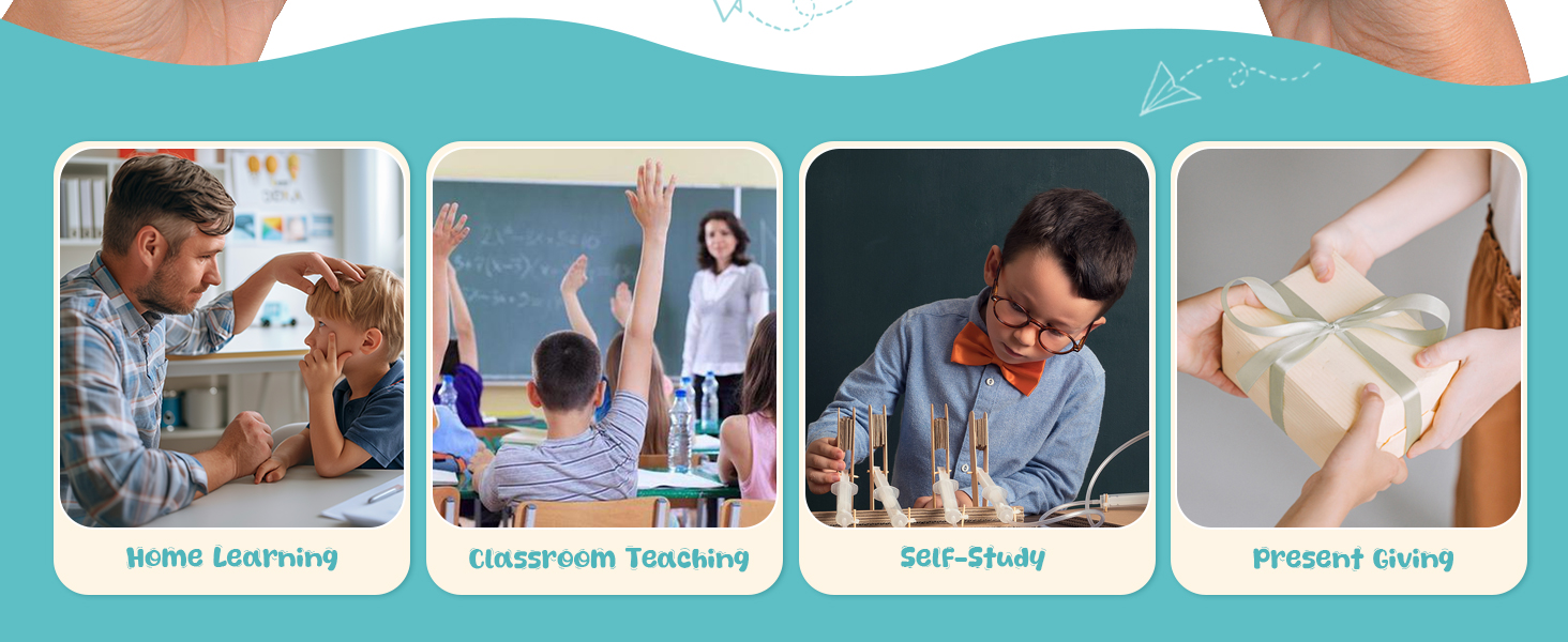 Brain Anatomy Teaching Model For School Classroom Demonstration