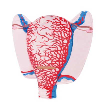Medical Training Fabric Uterus Model For Students