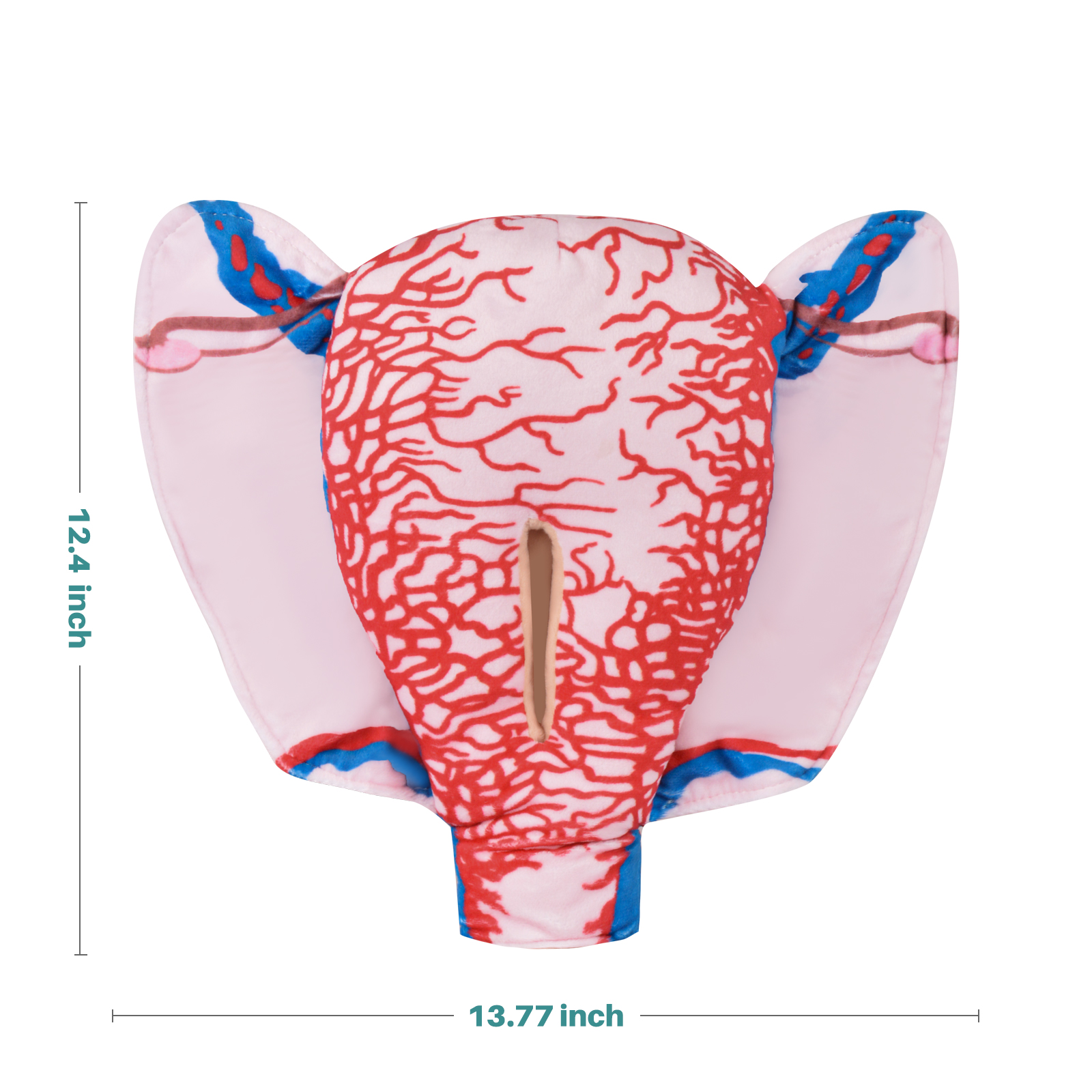 Fabric Pregnant Uterus Model With Horizontal Incision