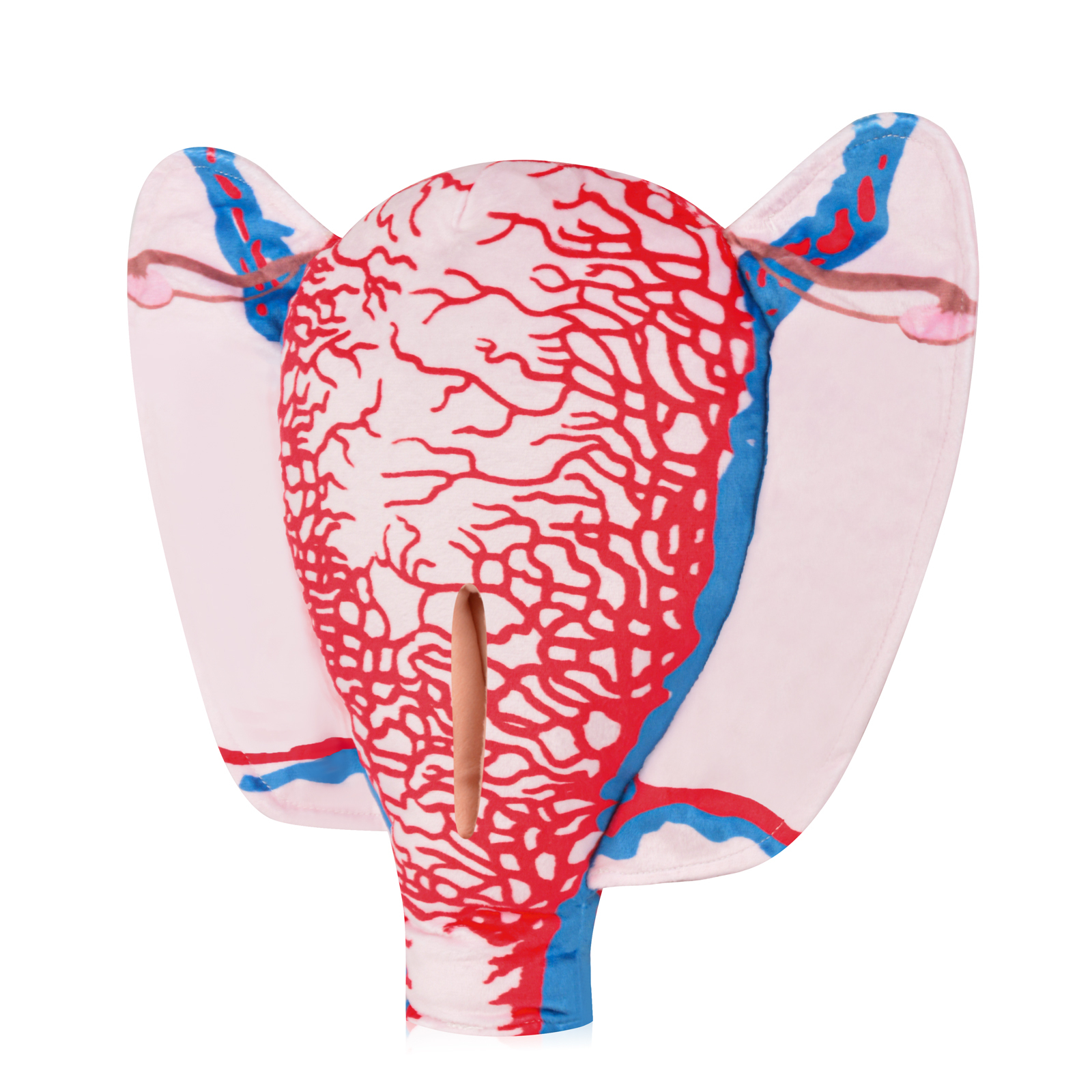 Fabric Pregnant Uterus Model With Horizontal Incision
