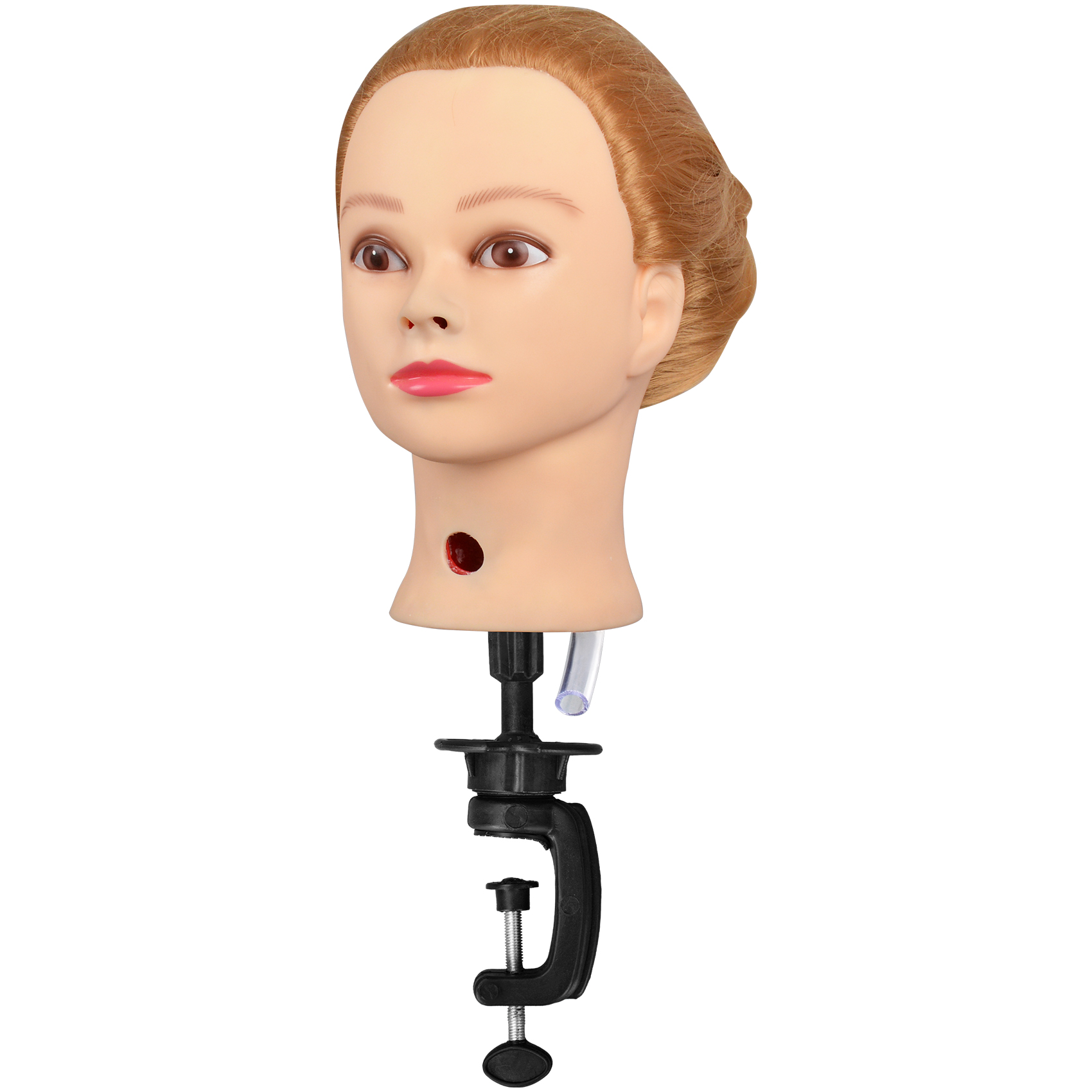 Female Trach Care & NG Tube Simulator