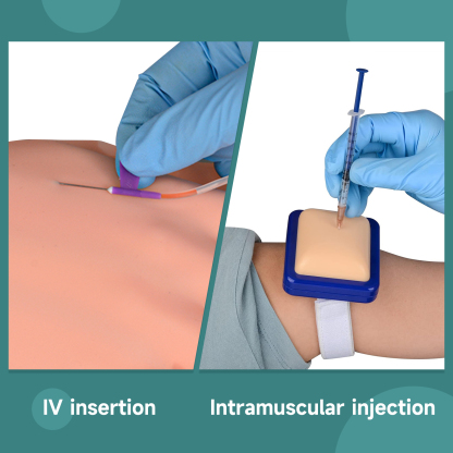 Phlebotomy Practice Kit with IV Practice Arm