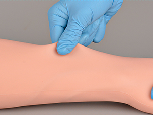 Realistic Injection and Phlebotomy Practice Arm