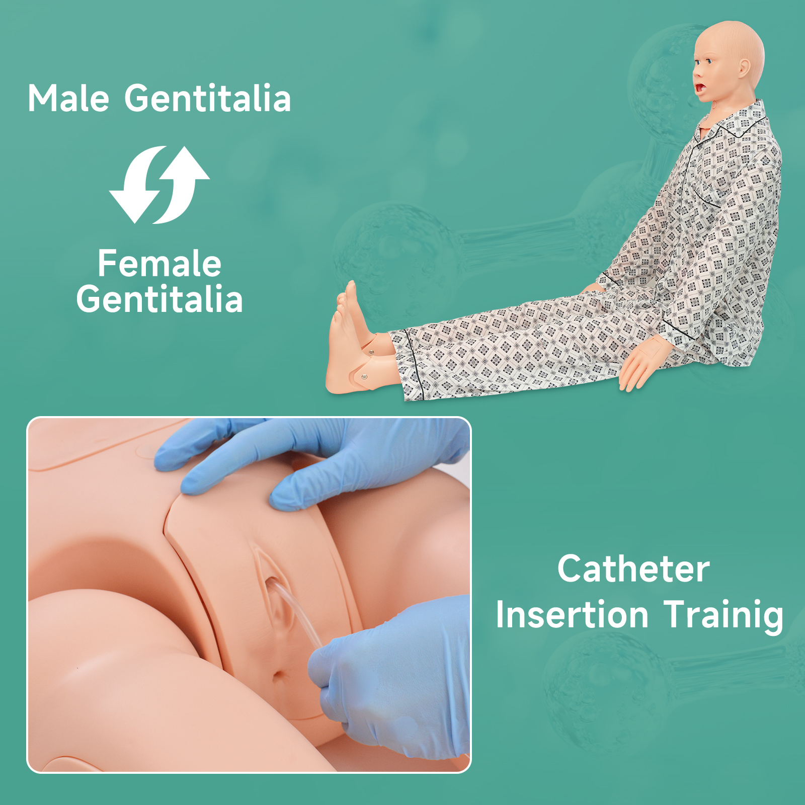 Full Body Medical Mannequin