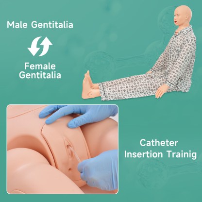 Full Body Medical Mannequin