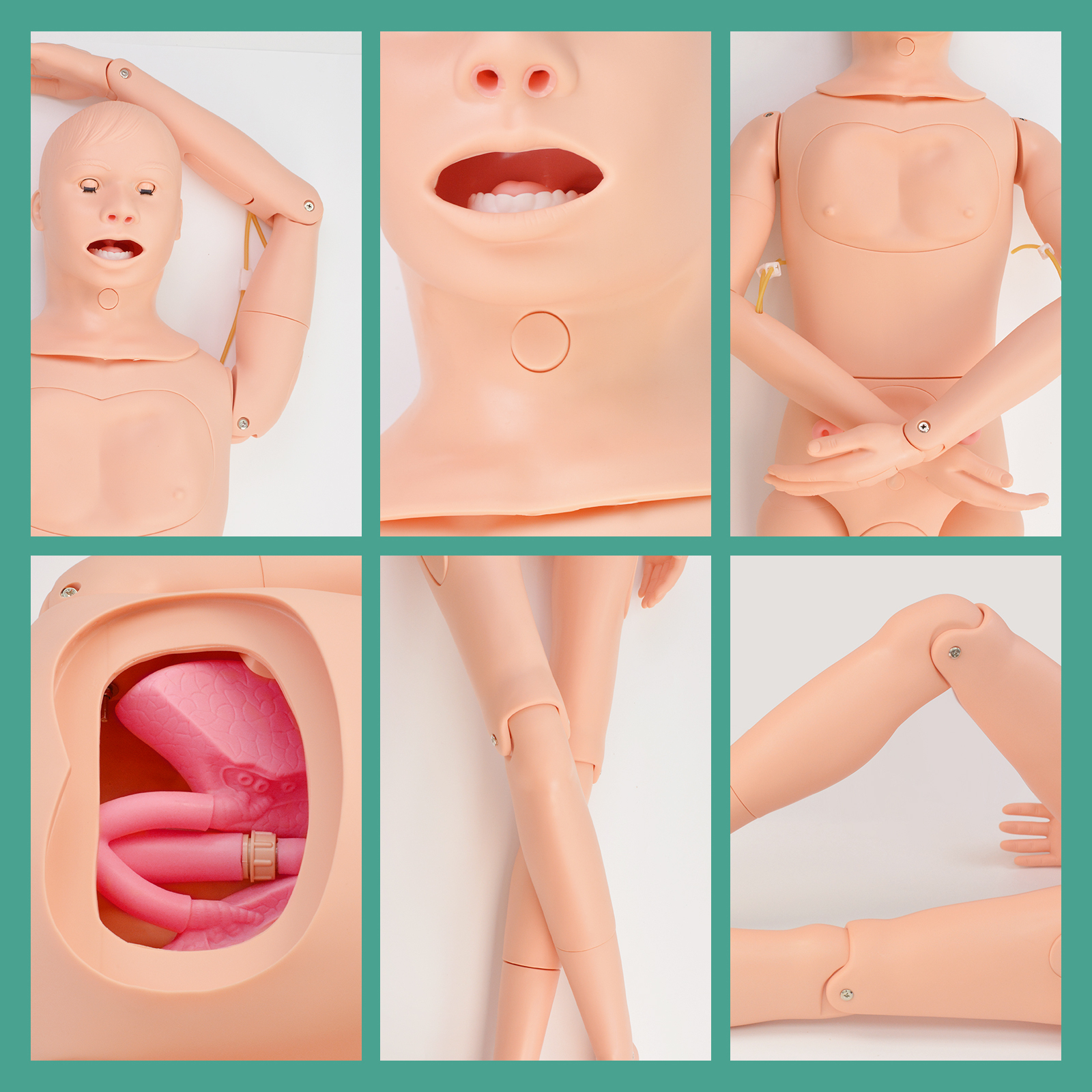 Full Body Medical Mannequin