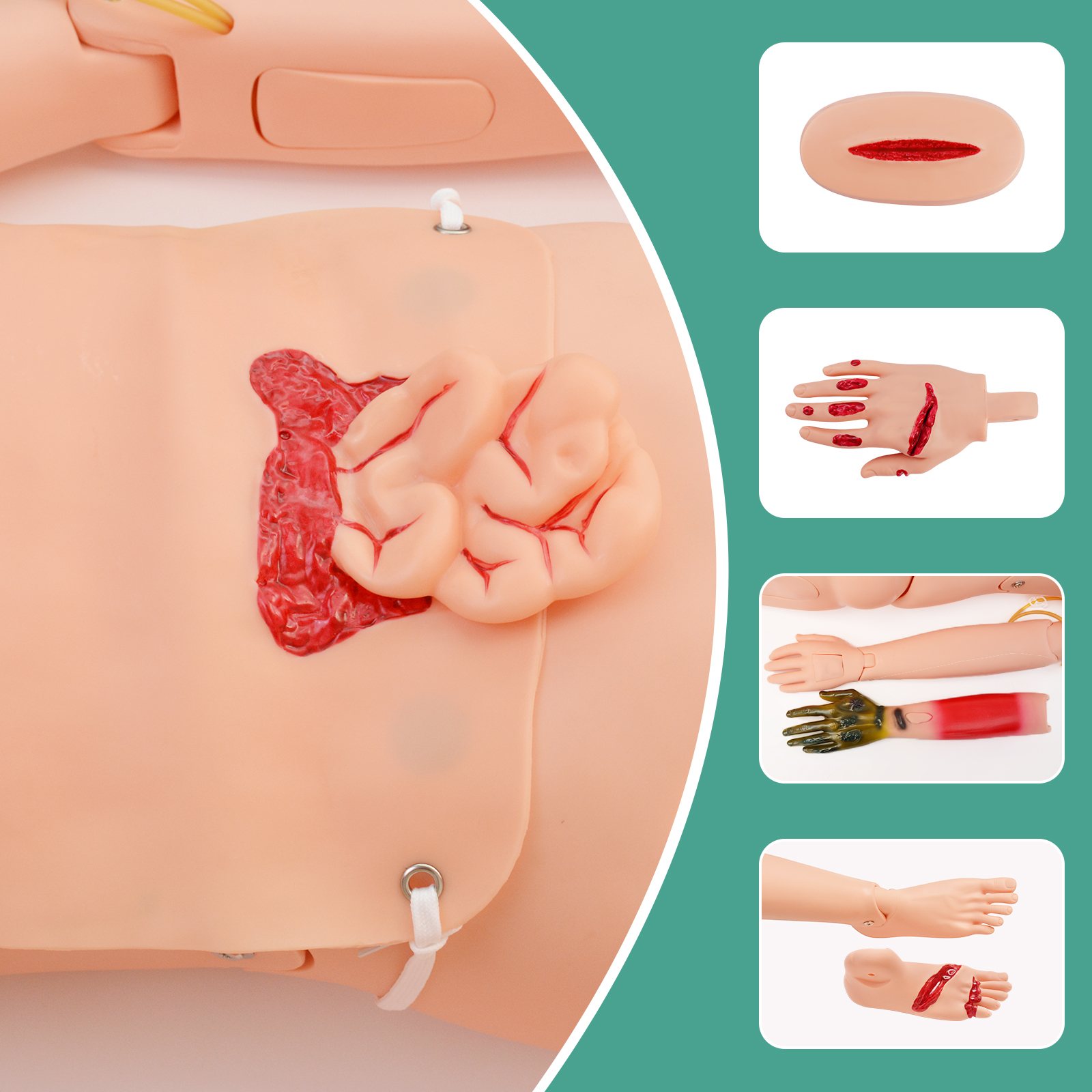 Full Body Medical Mannequin