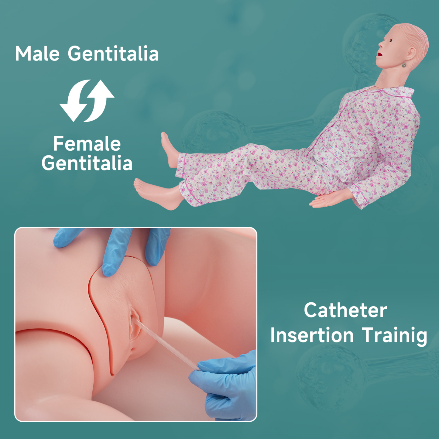 Medical Training Manikin (Female Version)