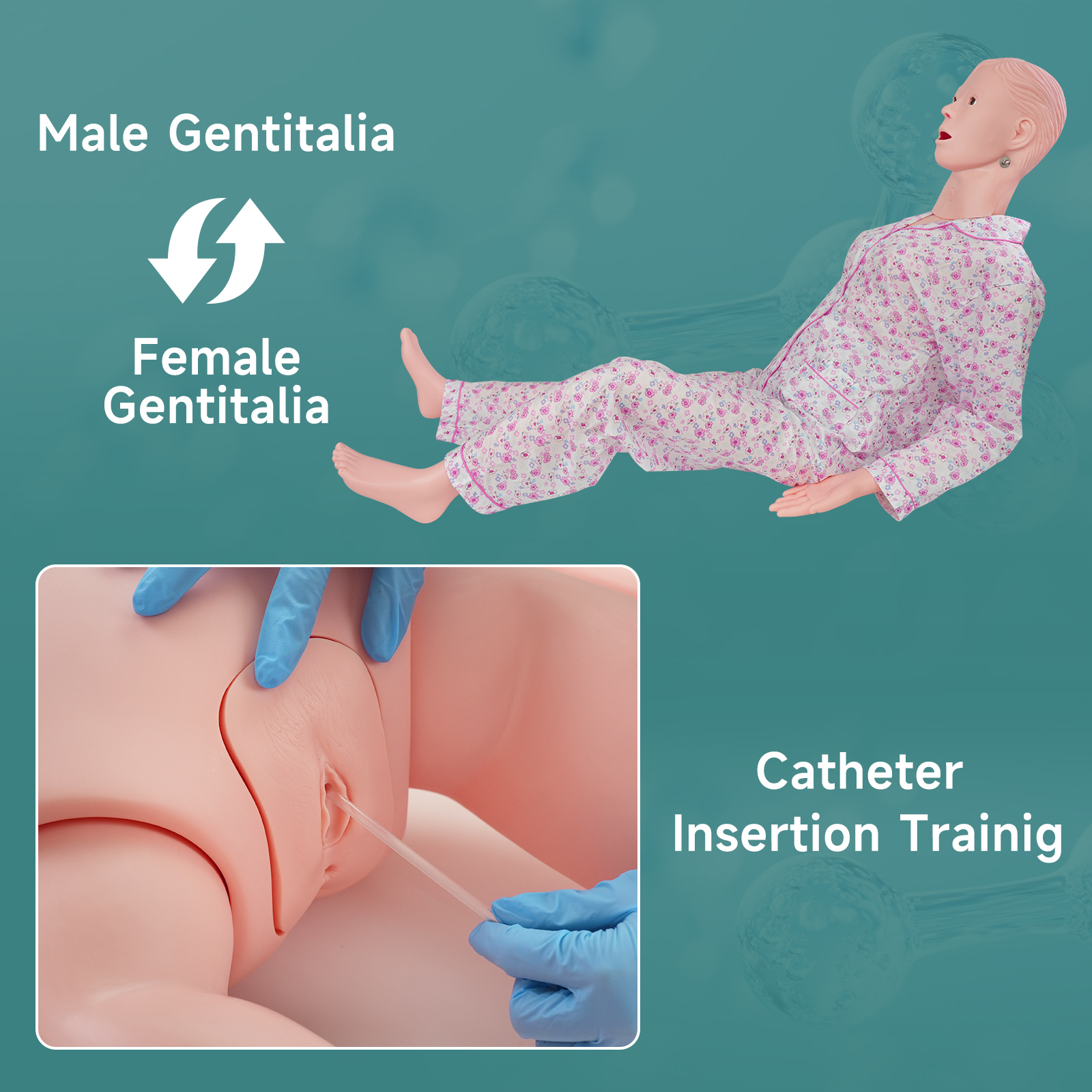 Medical Training Manikin (Female Version)