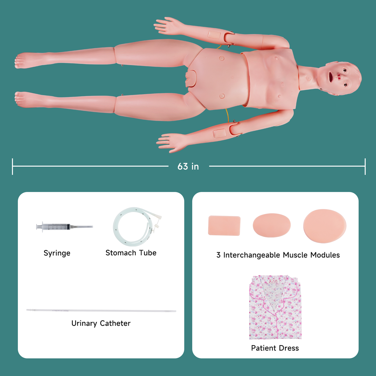 Medical Training Manikin (Female Version)