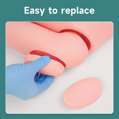 Medical Training Manikin (Female Version)