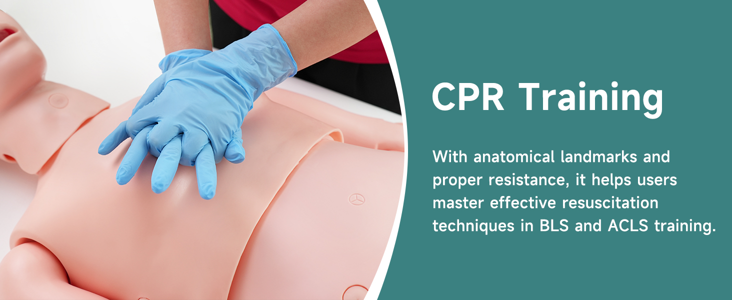 Medical Training Manikin (Female Version)