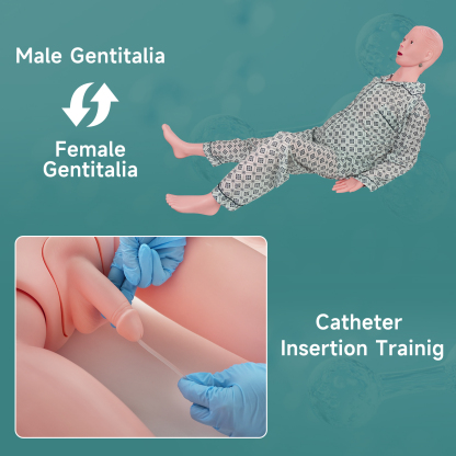 Adult Male Mannequin for Nursing Training