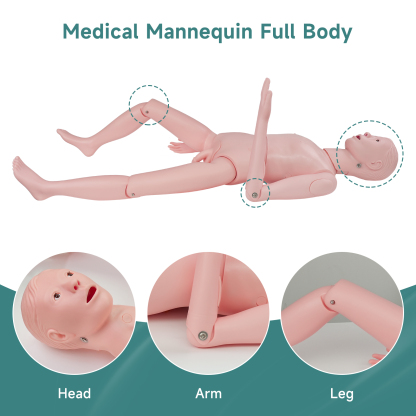 Adult Male Mannequin for Nursing Training