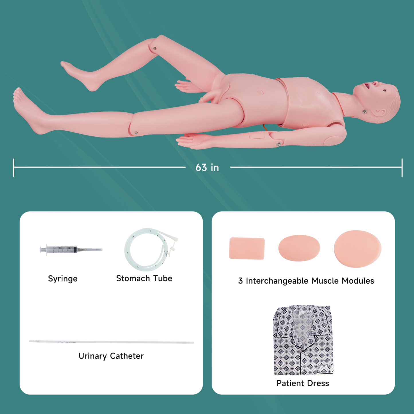 Adult Male Mannequin for Nursing Training