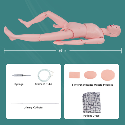Adult Male Mannequin for Nursing Training