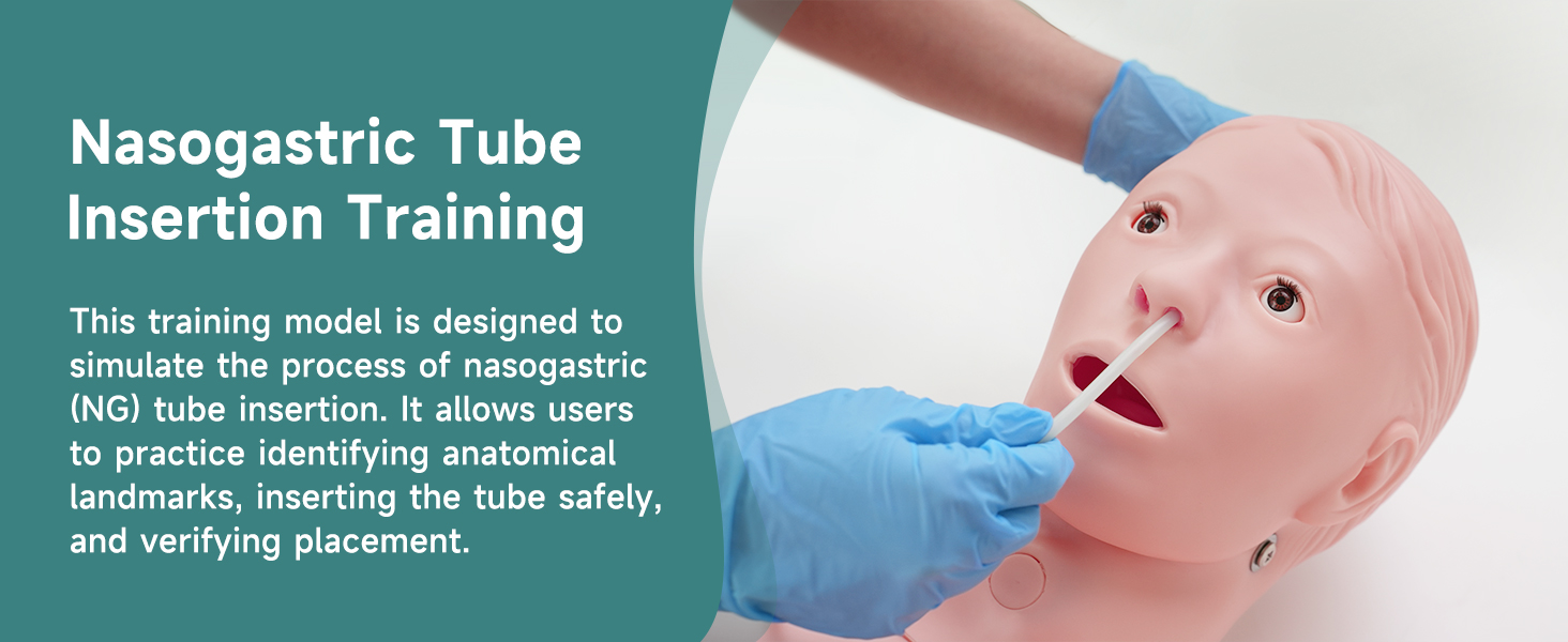 Adult Male Mannequin for Nursing Training