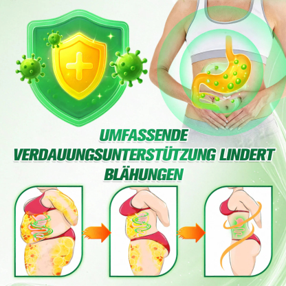 10-in-1 Moringa Nano-Patch – Innovative Mikronadel-Technologie für Fettstoffwechsel & Energie