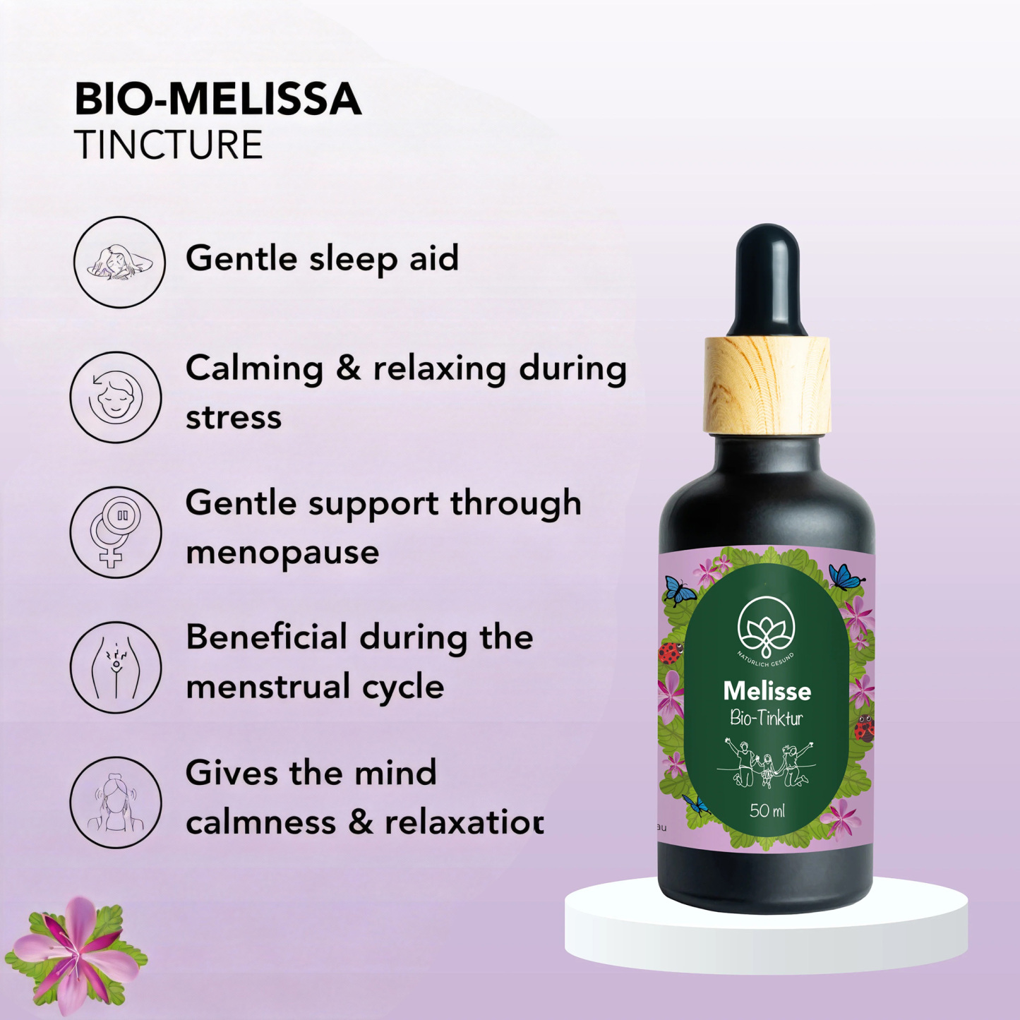 All-in-One Botanical Wellness Kit for Digestion, Calm & Metabolism