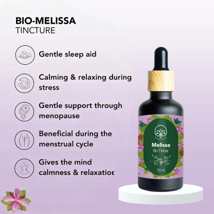 All-in-One Botanical Wellness Kit for Digestion, Calm & Metabolism