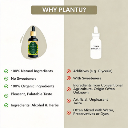 All-in-One Botanical Wellness Kit for Digestion, Calm & Metabolism