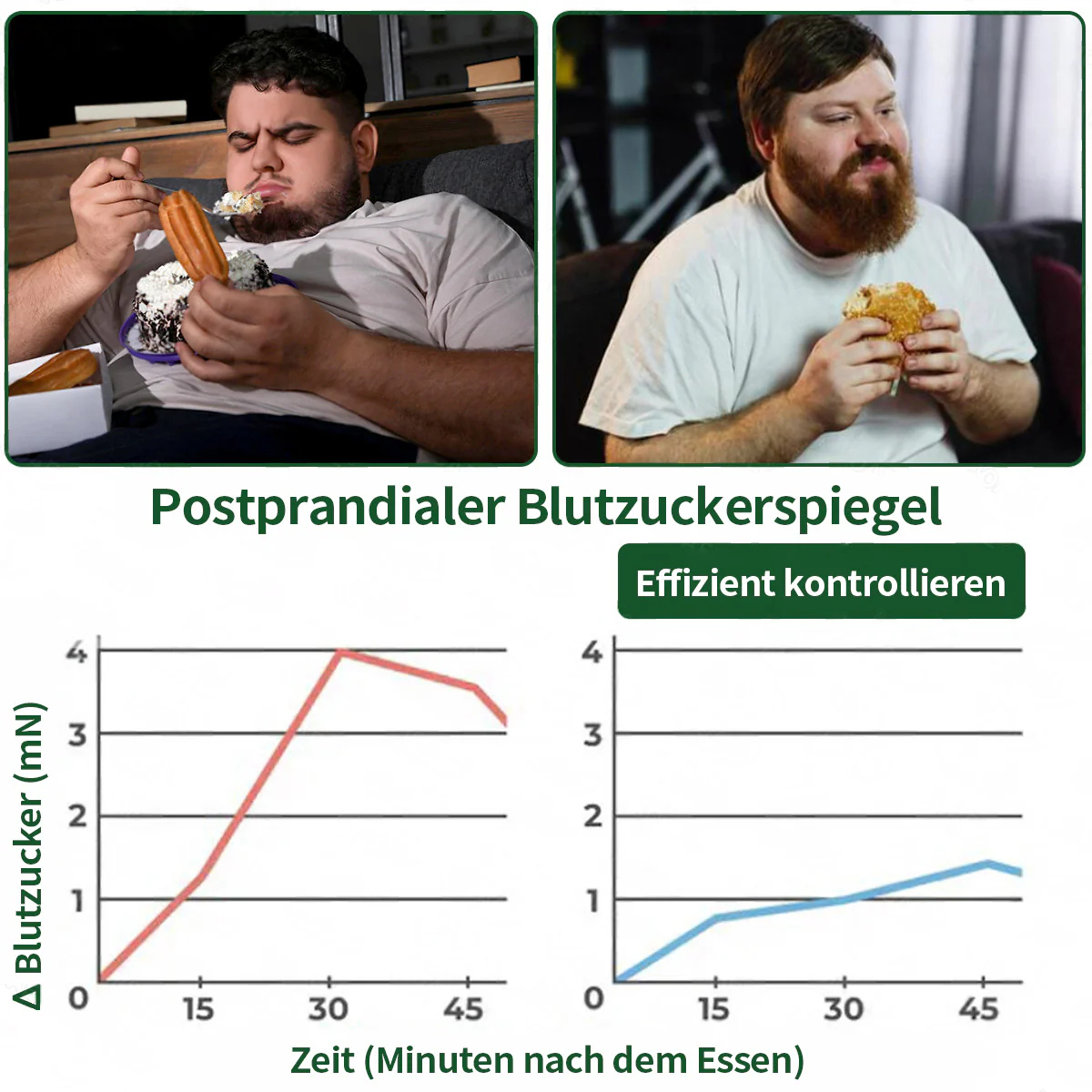 10-in-1 Moringa Nano-Patch – Innovative Mikronadel-Technologie für Fettstoffwechsel & Energie