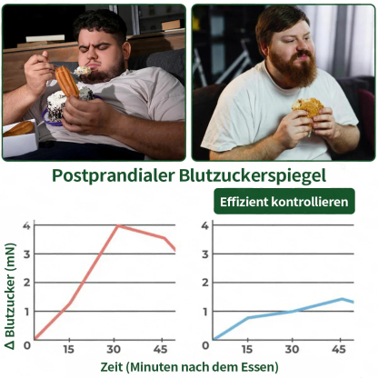 10-in-1 Moringa Nano-Patch – Innovative Mikronadel-Technologie für Fettstoffwechsel & Energie