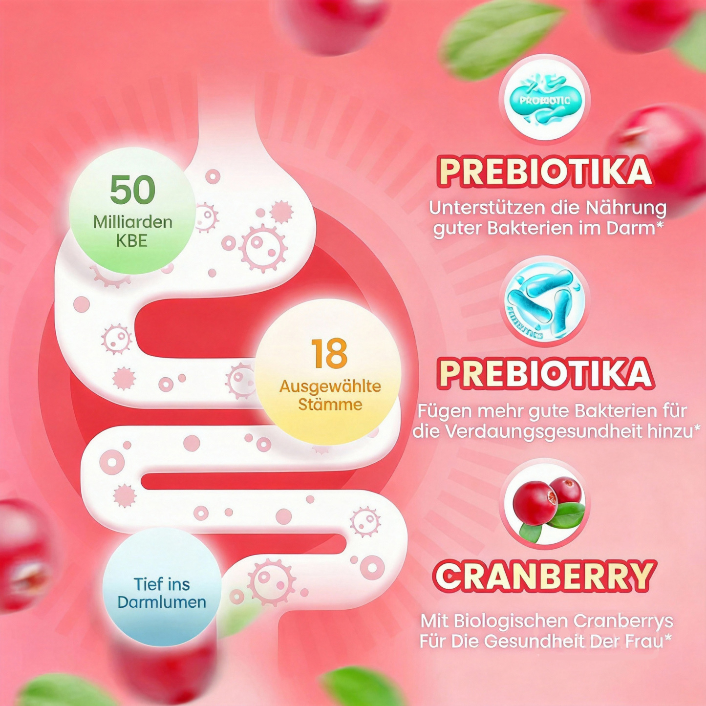 Zentra Cranberry Probiotic Gummies für Zyklus, Hormone & Fruchtbarkeit