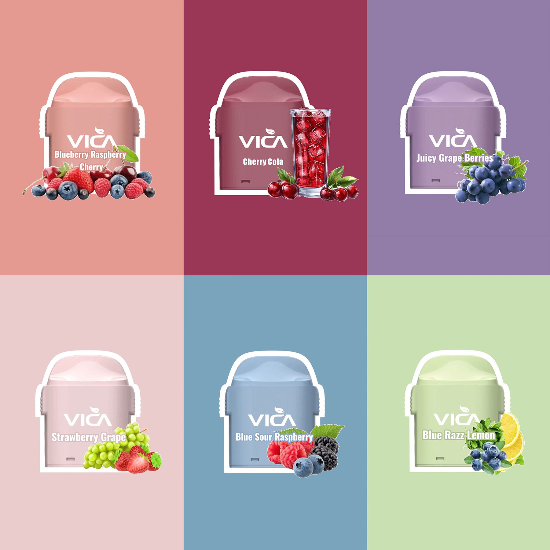 6 Selected Fruit Drink Flavors