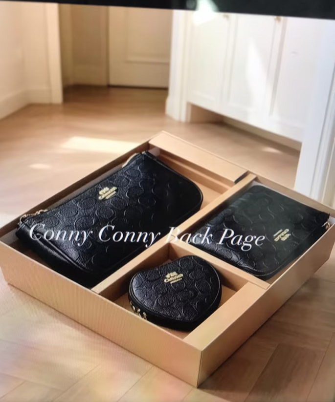 Coach purse set