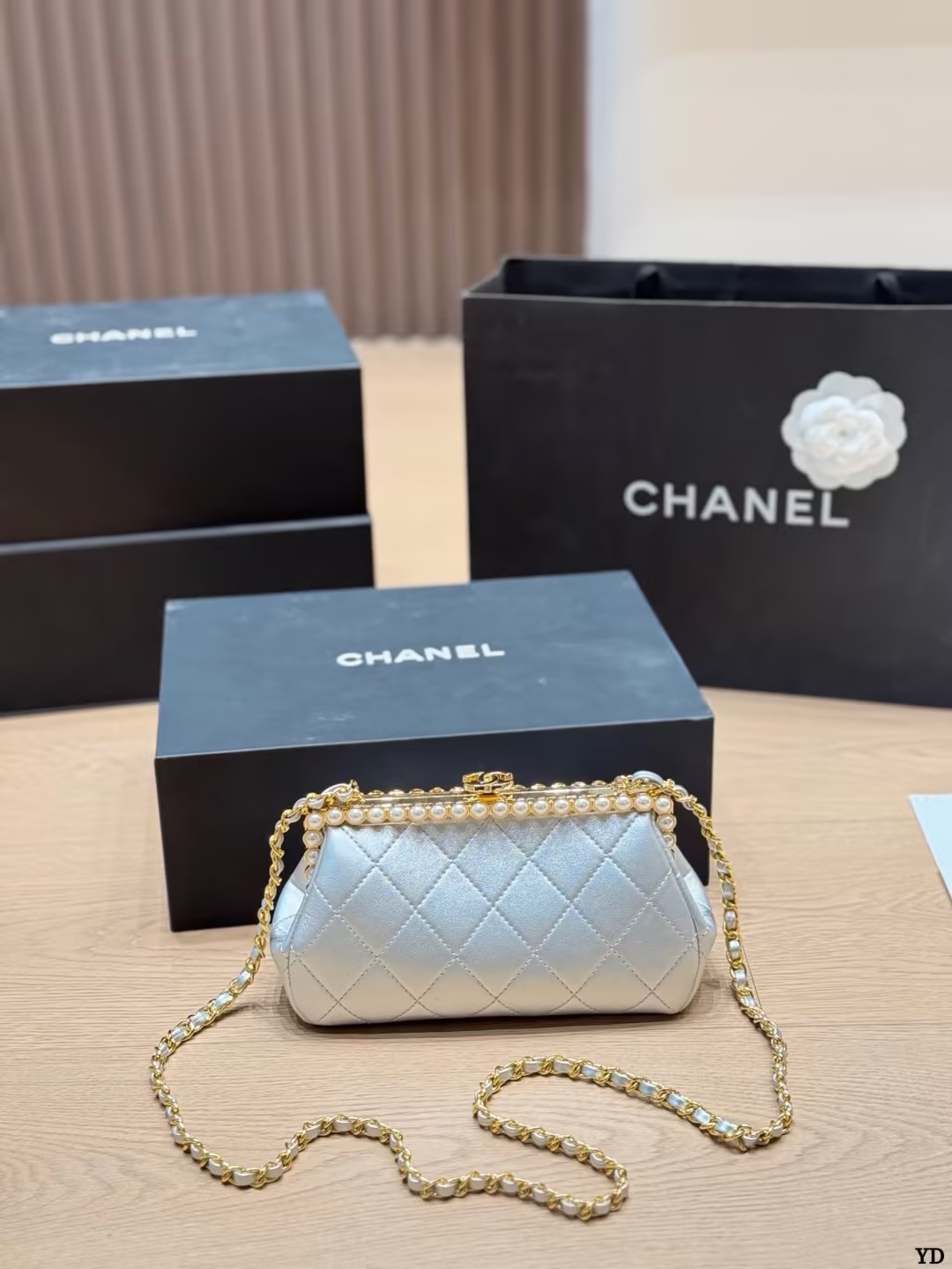Chanel bag